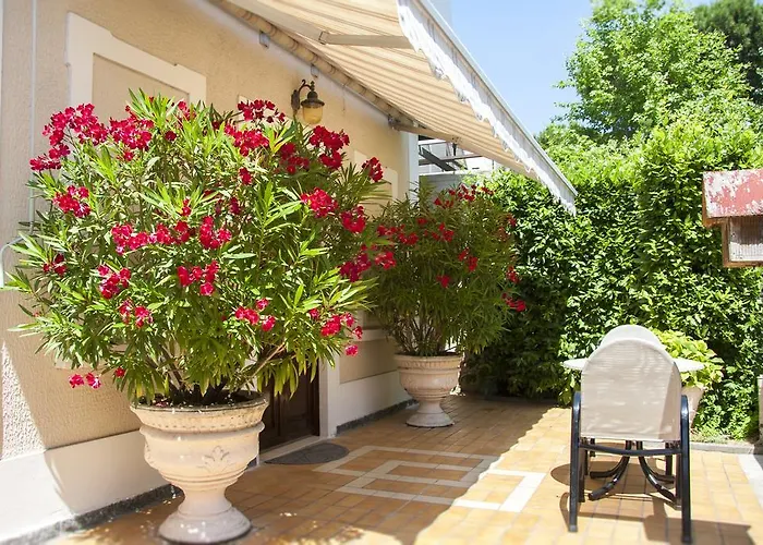 Souvenir チェゼナーティコ